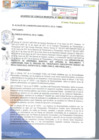 Vista preliminar de documento ACM039-2017