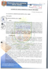 Vista preliminar de documento ACM048-2017