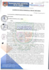 Vista preliminar de documento ACM089-2017