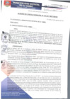 Vista preliminar de documento ACM104-2017