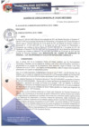Vista preliminar de documento ACM119-2017