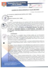 Vista preliminar de documento ACM142-2017