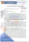 Vista preliminar de documento ACM005-2017SE