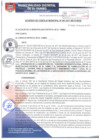 Vista preliminar de documento ACM007-2017SE