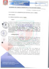 Vista preliminar de documento ACM040-2016