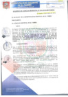 Vista preliminar de documento ACM063-2016