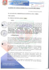 Vista preliminar de documento ACM166-2016