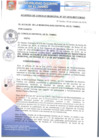 Vista preliminar de documento ACM237-2016