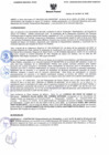 Vista preliminar de documento 0315 - 2025