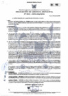 Vista preliminar de documento RGM-113-2025