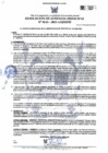 Vista preliminar de documento RGM-115-2025