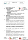 Vista preliminar de documento TDR REQ 2130