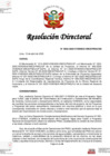 Vista preliminar de documento RD 055-2025