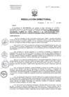Vista preliminar de documento R.D. N°100-2025-DG-HNHU (1)