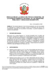 Vista preliminar de documento Resolución de la Dirección Técnica Registral n.° 016-2025-SUNARP/DTR