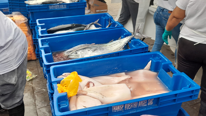 Foto de bonito.
