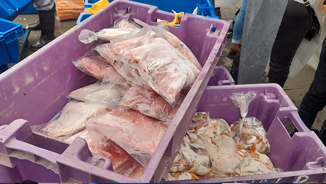 Foto de pota y mariscos.