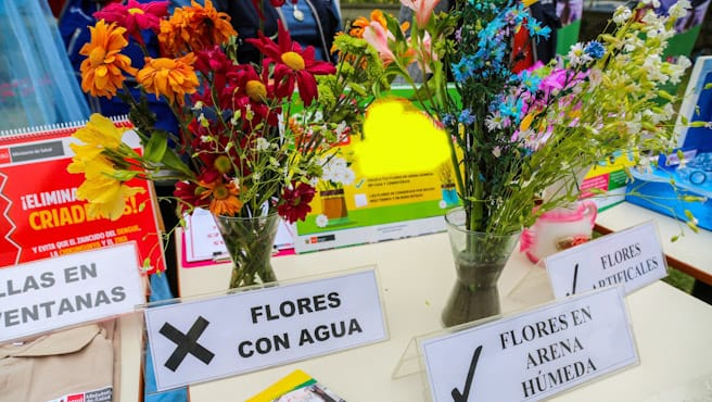Semana Santa: conoce cómo prevenir el dengue en tu casa y cementerios