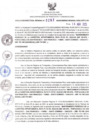 Vista preliminar de documento RDR N°293-2025-16-04-2025