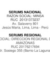 Vista preliminar de documento RUC MINSA Y DIRESA