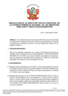 Vista preliminar de documento Resolución de la Dirección Técnica Registral n.° 017-2025-SUNARP/DTR