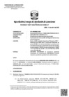Vista preliminar de documento RCONAS-00077-2025-PRODUCE-CONAS-UT