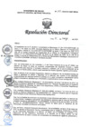Vista preliminar de documento RD N° 114-2025-DG-INMP/MINSA