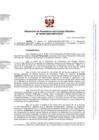 Vista preliminar de documento RPCD 00035-2025-OEFA-PCD