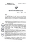 Vista preliminar de documento RD N° 123-2025-DG-INMP/MINSA