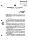 Vista preliminar de documento Resolución Directoral N° 046-2010-MEM_AAM