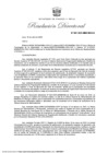 Vista preliminar de documento RD 087