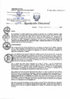 Vista preliminar de documento RD N° 100-2025-DE/HJATCH