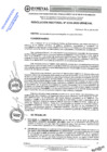 Vista preliminar de documento RES. RECT. N° 0334-2025-UNHEVAL