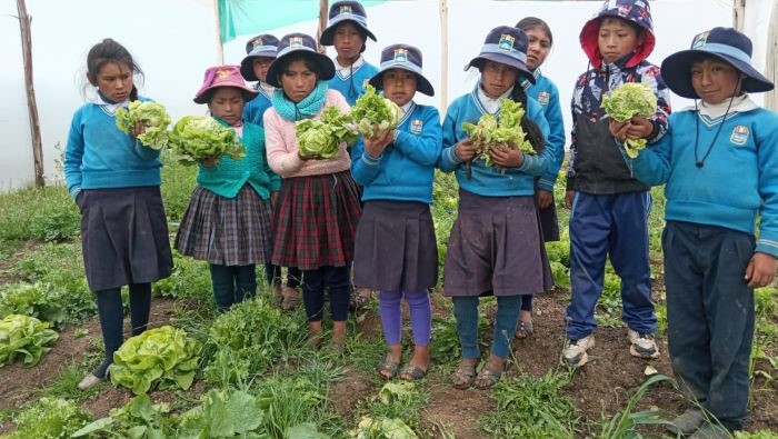 Servicio alimentario escolar
