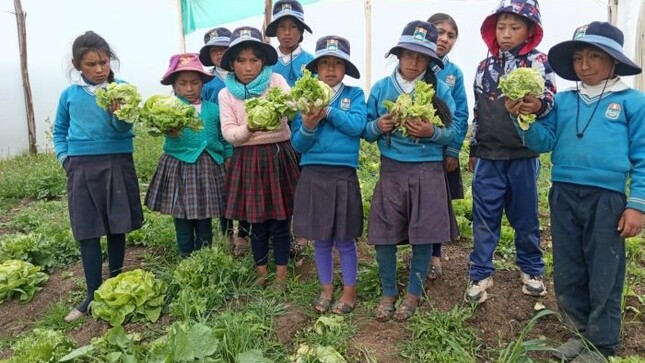 Servicio alimentario escolar