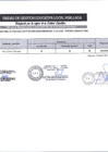 Vista preliminar de documento RESULTAO FINAL CRFA