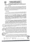 Vista preliminar de documento RGR0164-2025-GRI