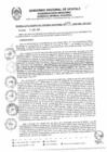 Vista preliminar de documento RGGR0176-2025