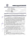 Vista preliminar de documento PERFIL -CAS
