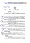 Vista preliminar de documento Resolución Directoral. N° 000966 - 2025 