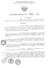 Vista preliminar de documento RD N°000321-2025-UGELJ