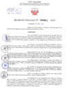 Vista preliminar de documento Resolución Directoral. N° 000971 - 2025 