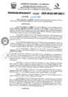 Vista preliminar de documento RD N°000567-2025-UGELJ