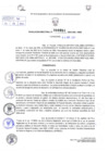 Vista preliminar de documento Resolución Directoral. N° 000951 - 2025
