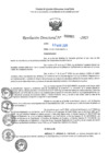 Vista preliminar de documento RD N°000683-2025-UGELJ