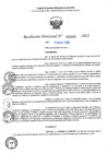 Vista preliminar de documento RD N°000699-2025-UGELJ