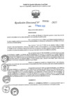 Vista preliminar de documento RD N°000704-2025-UGELJ
