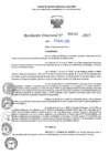 Vista preliminar de documento RD N°000709-2025-UGELJ