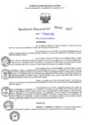Vista preliminar de documento RD N°000707-2025-UGELJ