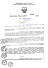 Vista preliminar de documento RD N°000729-2025-UGELJ